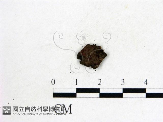 登錄號:F0019568藏品圖，第1張