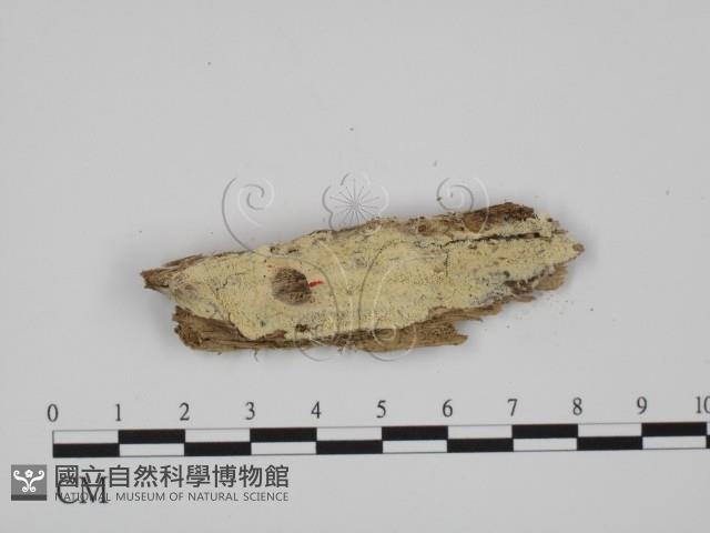登錄號:F0008168藏品圖，第1張