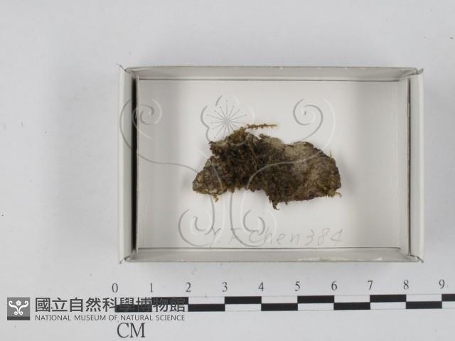 登錄號:F0018168藏品圖，第1張