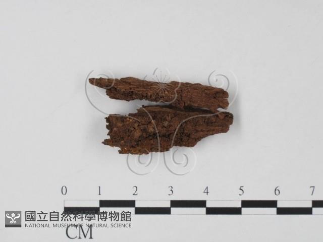 登錄號:F0010168藏品圖，第1張