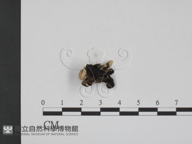 登錄號:F0012168藏品圖，第1張