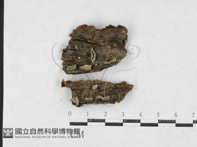 登錄號:F0027168藏品圖，第1張