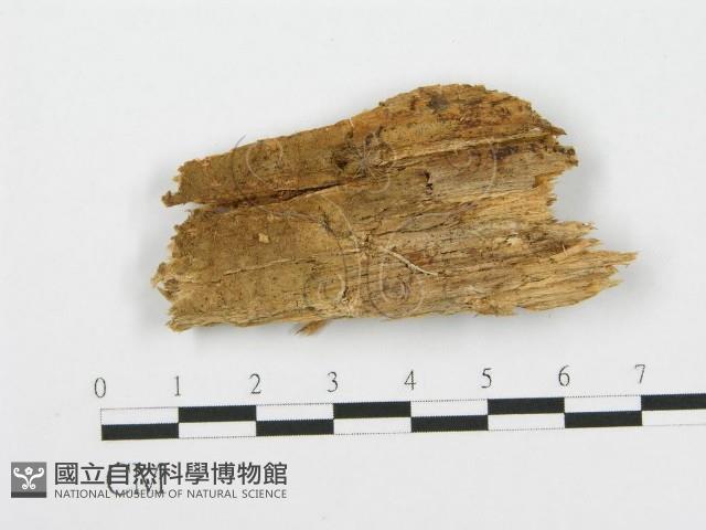 登錄號:F0017168藏品圖，第1張