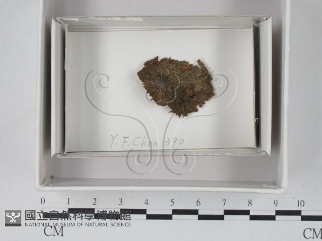 登錄號:F0018068藏品圖，第1張