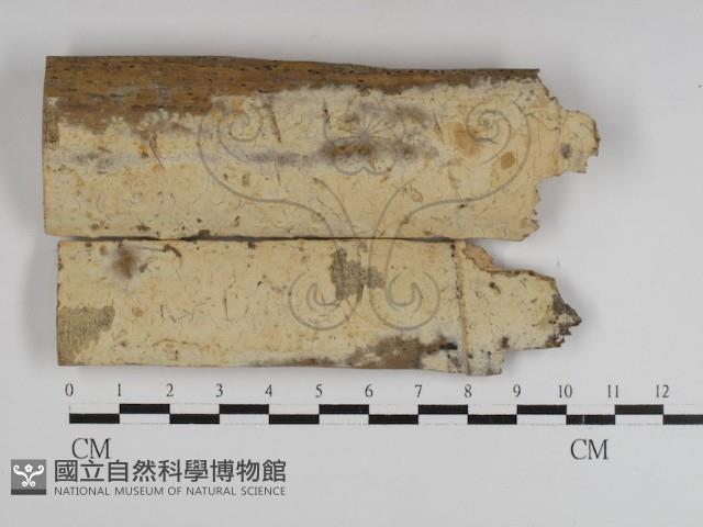 登錄號:F0021068藏品圖，第1張