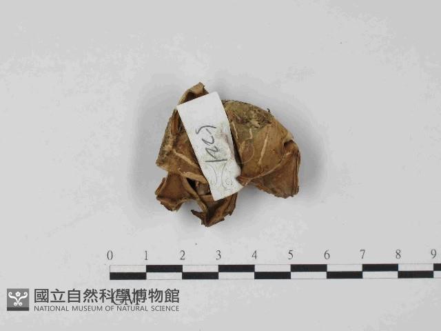 登錄號:F0024068藏品圖，第1張