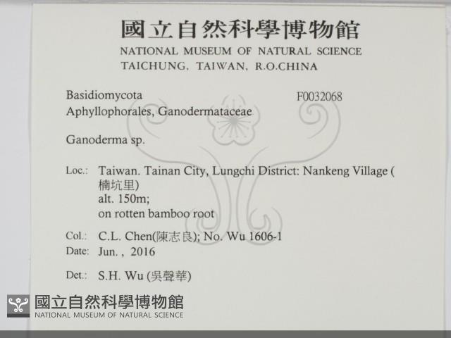 登錄號:F0032068藏品圖，第1張