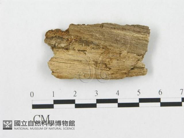 登錄號:F0007068藏品圖，第1張