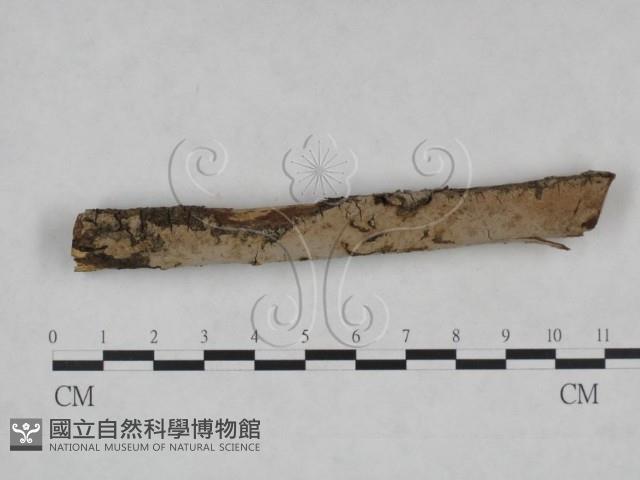 登錄號:F0025068藏品圖，第1張