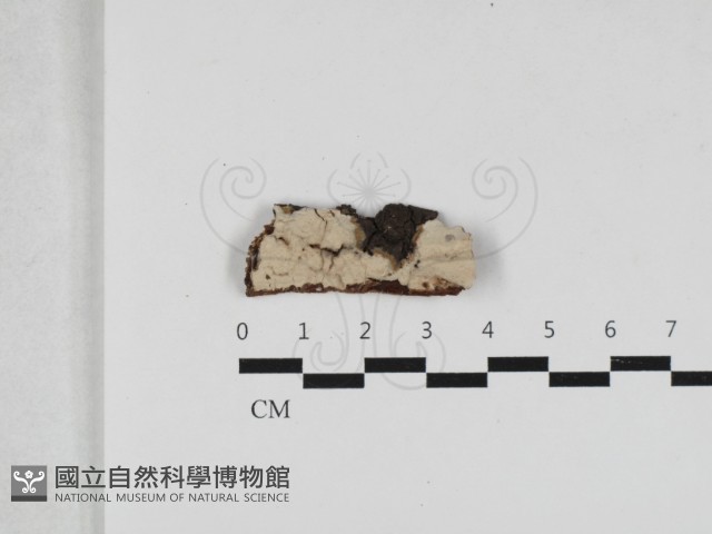 登錄號:F0033068藏品圖，第1張