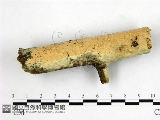 登錄號:F0001368藏品圖，第1張