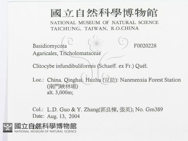 登錄號:F0020228藏品圖，第3張