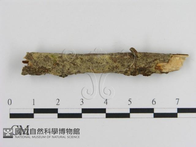 登錄號:F0000228藏品圖，第1張