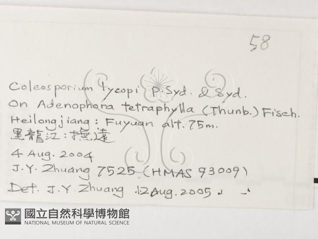 登錄號:F0026228藏品圖，第3張