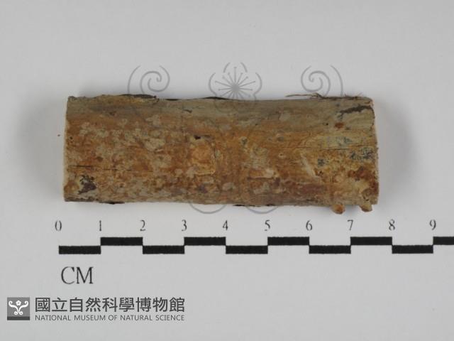 登錄號:F0031228藏品圖，第1張