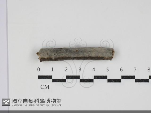 登錄號:F0034228藏品圖，第1張