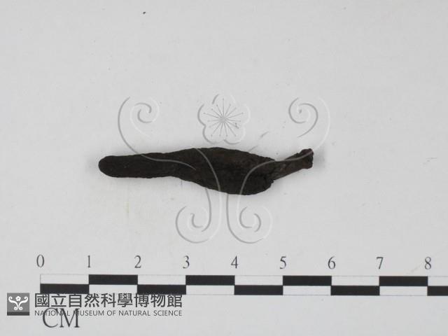 登錄號:F0002228藏品圖，第1張