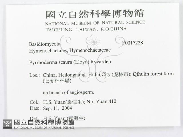 登錄號:F0017228藏品圖，第3張