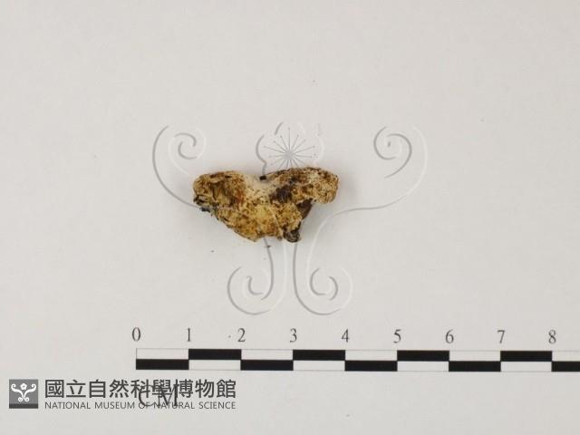 登錄號:F0023228藏品圖，第1張