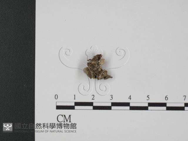 登錄號:F0020828藏品圖，第1張