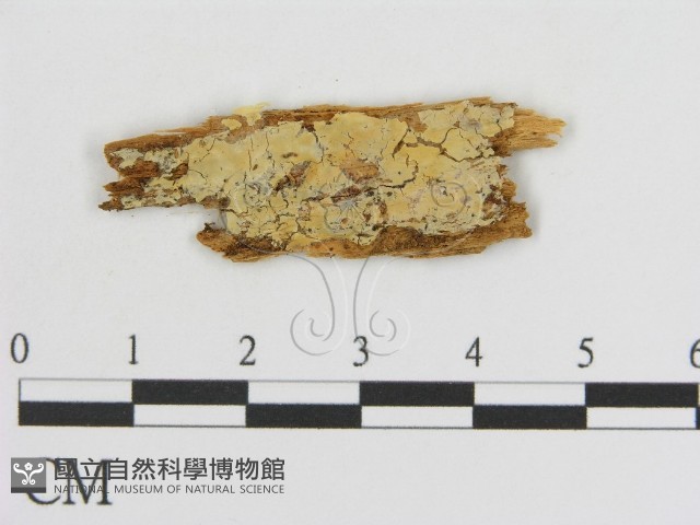 登錄號:F0016828藏品圖，第1張