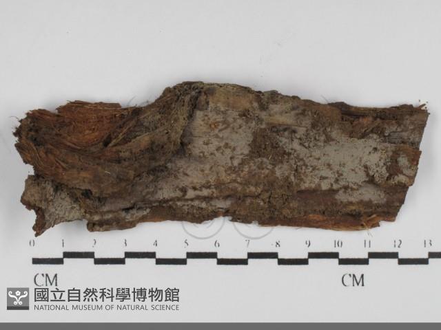 登錄號:F0031828藏品圖，第1張