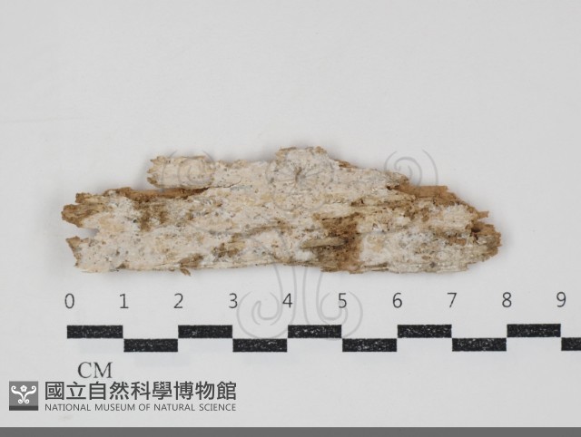 登錄號:F0034828藏品圖，第1張