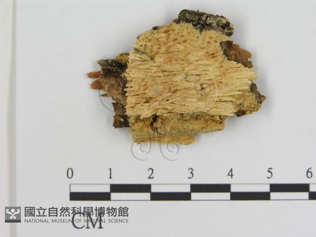 登錄號:F0006928藏品圖，第1張