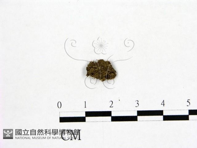 登錄號:F0001928藏品圖，第1張