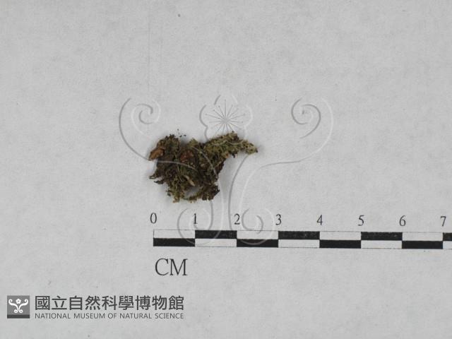 登錄號:F0028628藏品圖，第1張