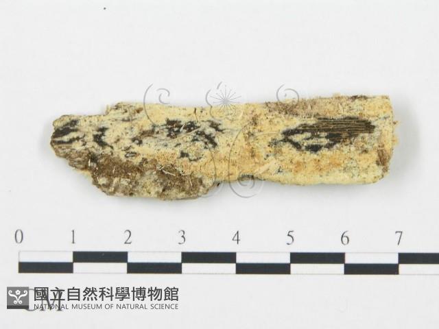 登錄號:F0008628藏品圖，第1張