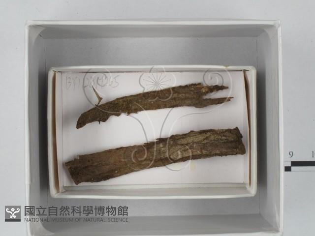 登錄號:F0018628藏品圖，第1張