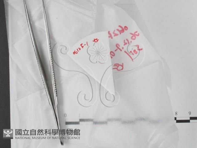 登錄號:F0020628藏品圖，第1張