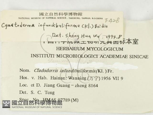 登錄號:F0000428藏品圖，第3張