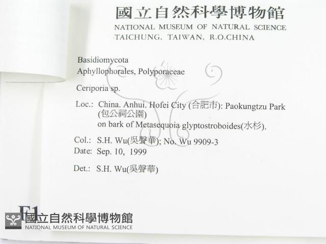 登錄號:F0010428藏品圖，第3張
