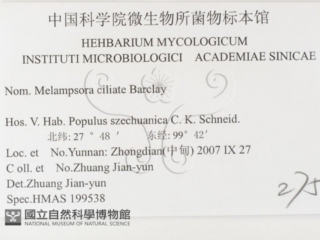 登錄號:F0026428藏品圖，第3張