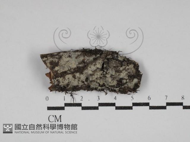 登錄號:F0030728藏品圖，第1張
