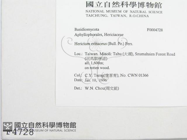 登錄號:F0004728藏品圖，第3張