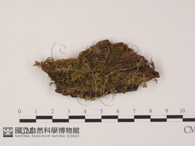 登錄號:F0007728藏品圖，第1張