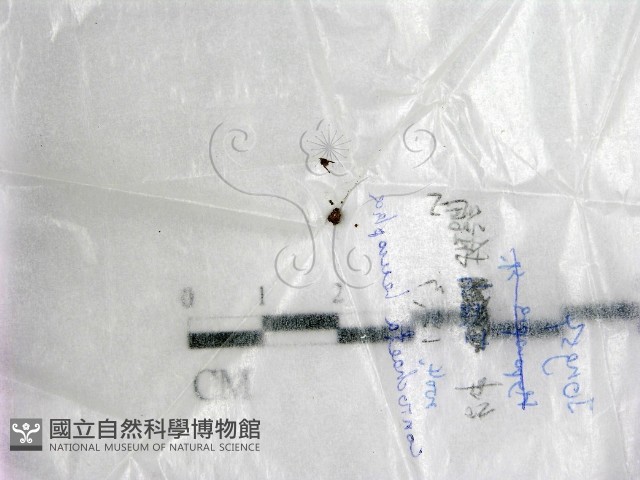 登錄號:F0017728藏品圖，第1張