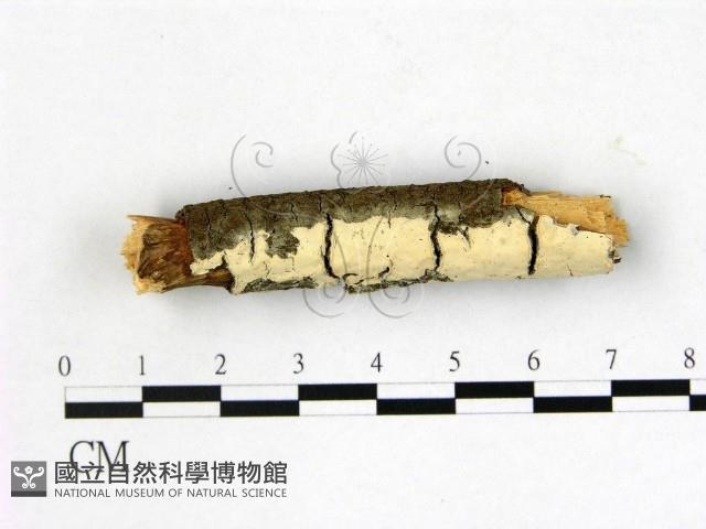 登錄號:F0013728藏品圖，第1張
