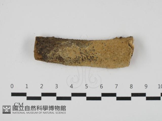 登錄號:F0032528藏品圖，第1張