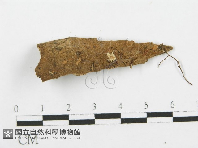 登錄號:F0007528藏品圖，第1張