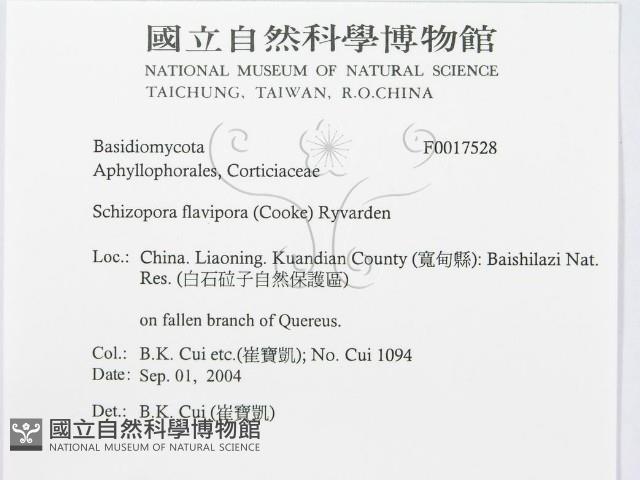 登錄號:F0017528藏品圖，第3張
