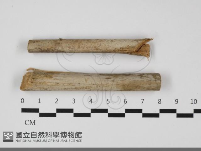 登錄號:F0032128藏品圖，第1張