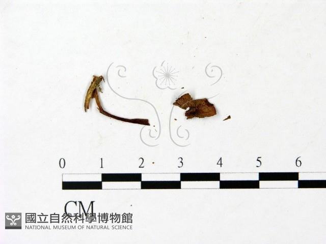 登錄號:F0023028藏品圖，第1張