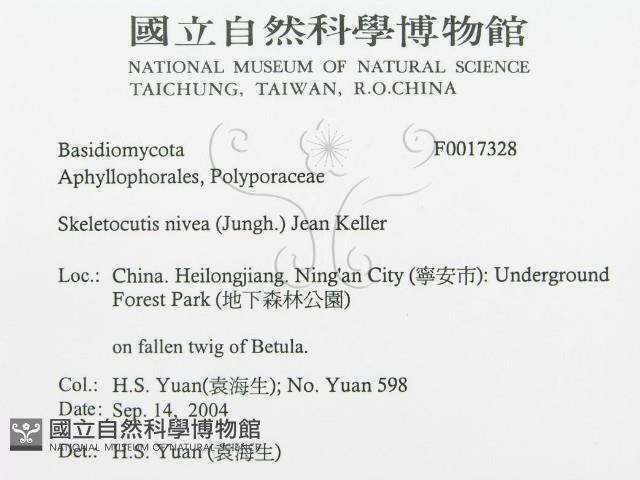 登錄號:F0017328藏品圖，第3張