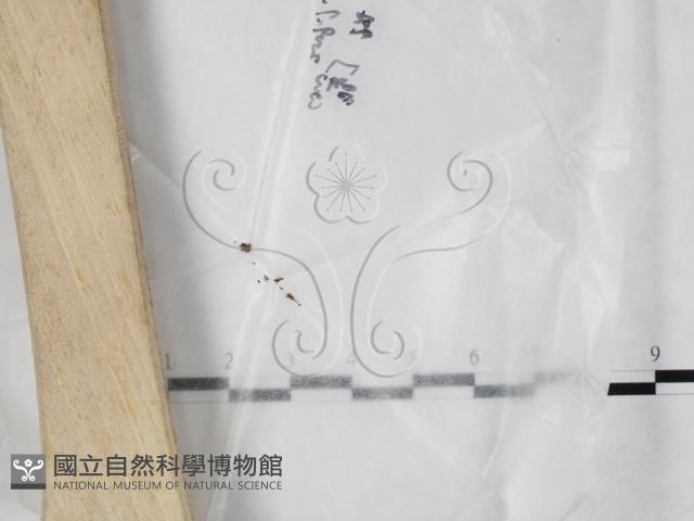 登錄號:F0023208藏品圖，第1張