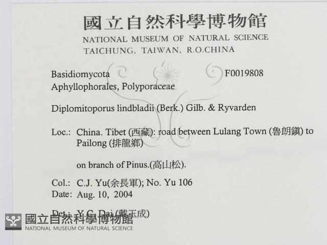 登錄號:F0019808藏品圖，第3張