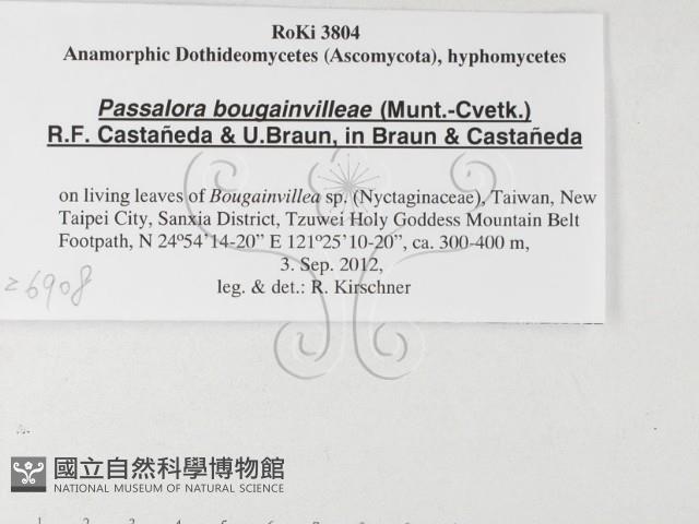 登錄號:F0026908藏品圖，第3張